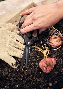 Garden Scissors - Large