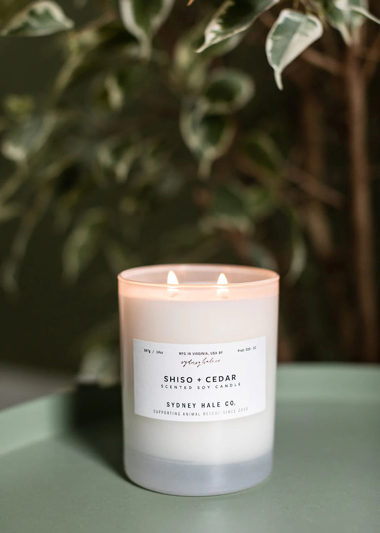 Sydney Hale Co. Candle in Woods, Woodsmoke + Amber, Coastal Juniper, Fir + Blue Sage, Tobacco + Sandalwood, Aloeswood or Shiso +Cedar