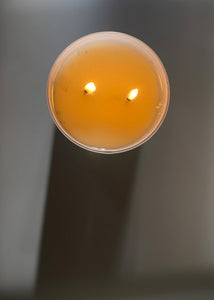 Sydney Hale Co. Candle in Woods, Woodsmoke + Amber, Coastal Juniper, Fir + Blue Sage, Tobacco + Sandalwood, Aloeswood or Shiso +Cedar